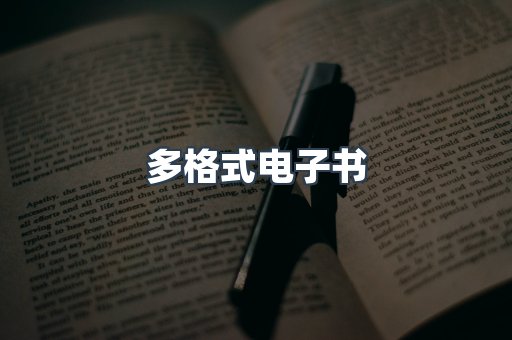 多格式电子书